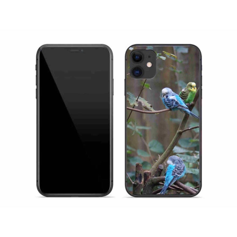 mmCase gél tok az iPhone 11-hez – papagájok egy ágon