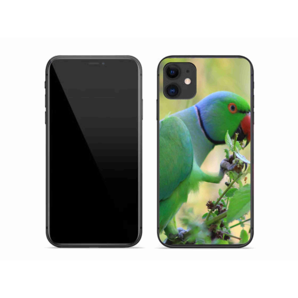 mmCase gél tok az iPhone 11-hez – alexandri papagáj