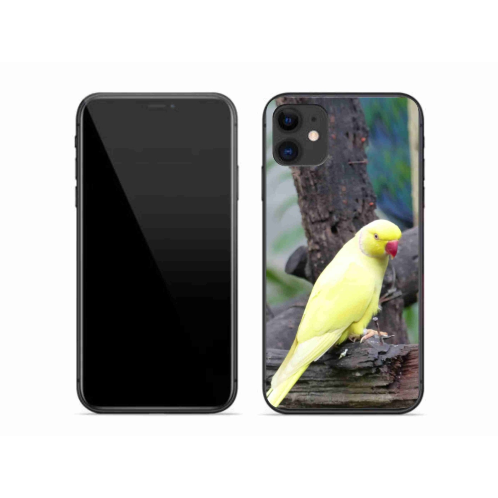 mmCase gél tok az iPhone 11-hez – sárga alexandri papagáj