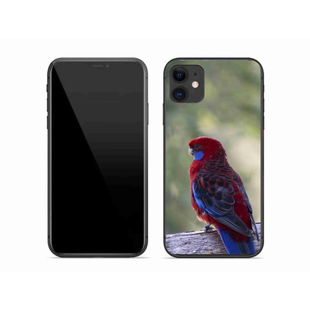 mmCase gél tok az iPhone 11-hez – Rosella papagáj
