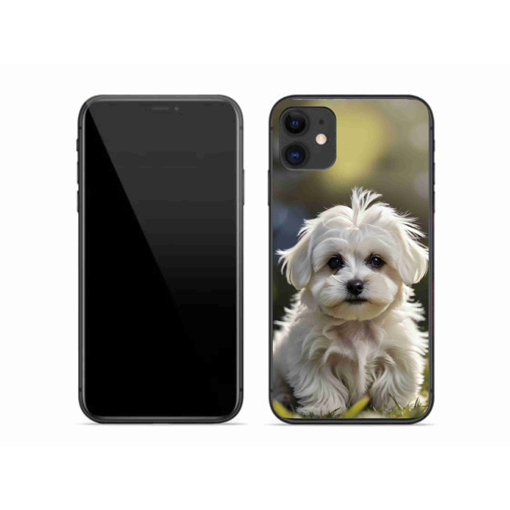 mmCase gél tok az iPhone 11-hez – aranyos máltai kutyus