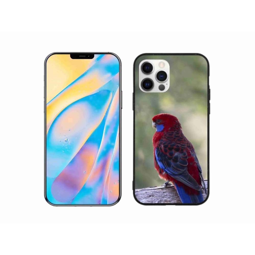 Zselés borítás mmCase iPhone 12 készülékhez - papagáj rózsa