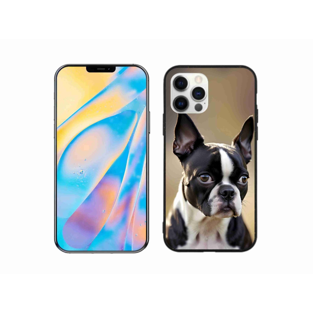 mmCase gél tok az iPhone 12 Pro-hoz – bostoni terrier