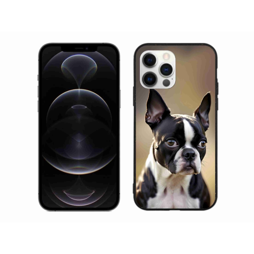 mmCase gél tok az iPhone 12 Pro Max-hoz – bostoni terrier