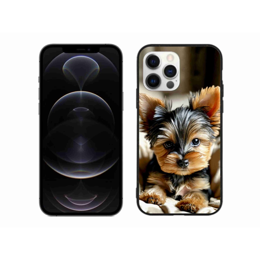 Gél borítás mmCase iPhone 12 Pro Max készülékhez - Yorkshire 11