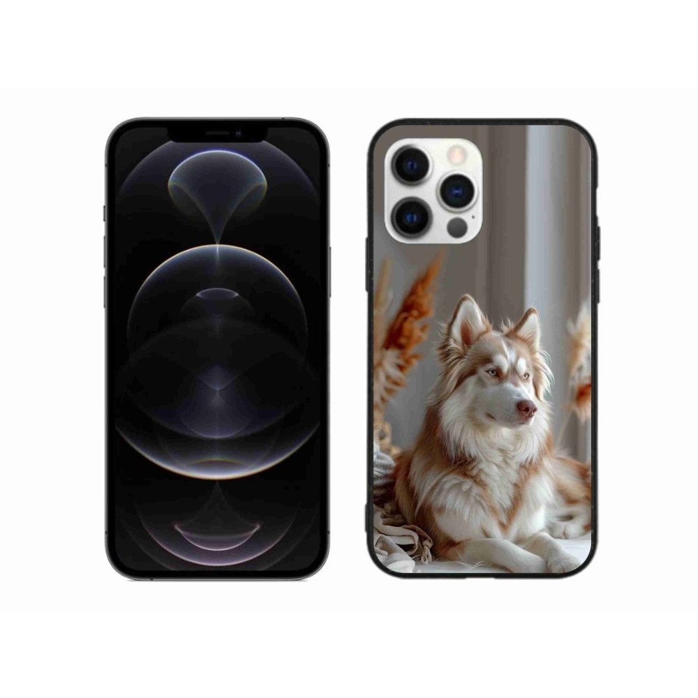 mmCase gél tok az iPhone 12 Pro Max-hoz – nyugodt szibériai husky