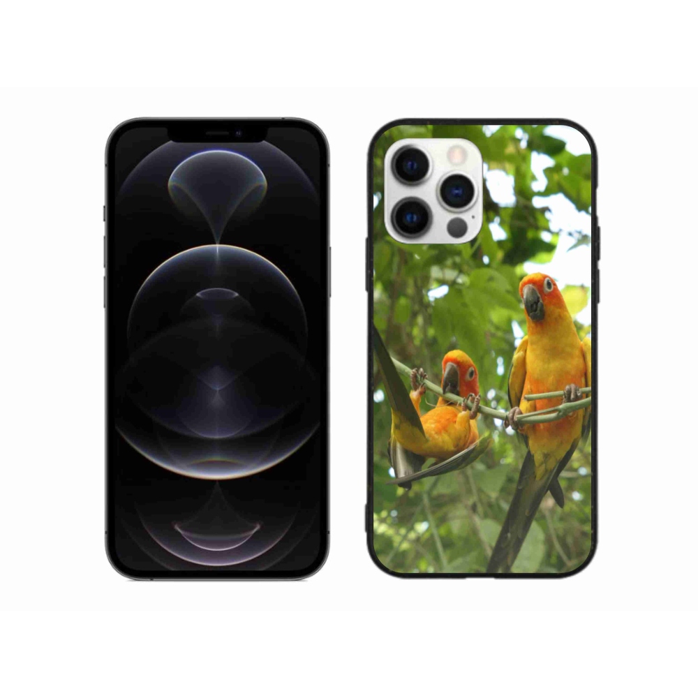 Gél borítás mmCase iPhone 12 Pro Max készülékhez - papagájok aratingy
