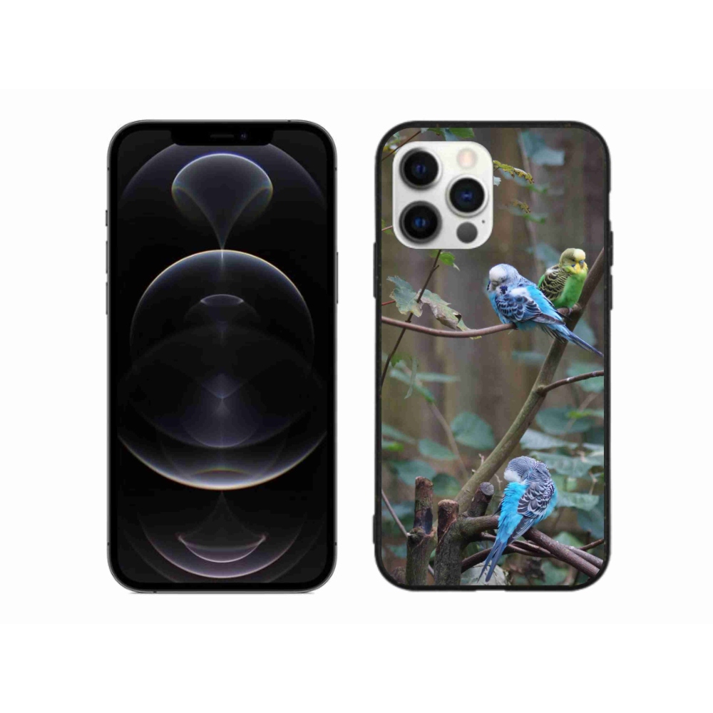 mmCase gél tok az iPhone 12 Pro Max-hoz – papagájok egy ágon