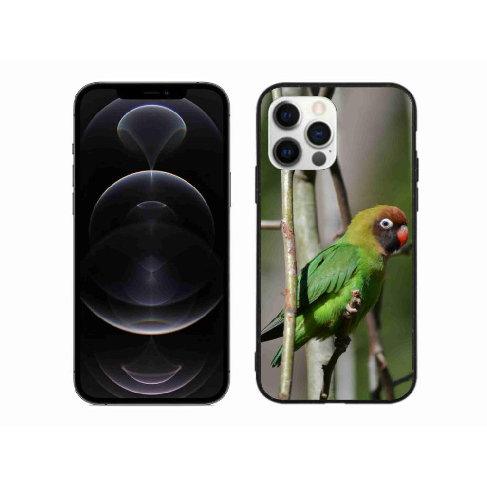 Gél borítás mmCase iPhone 12 Pro Max készülékhez - papagáj agapornis