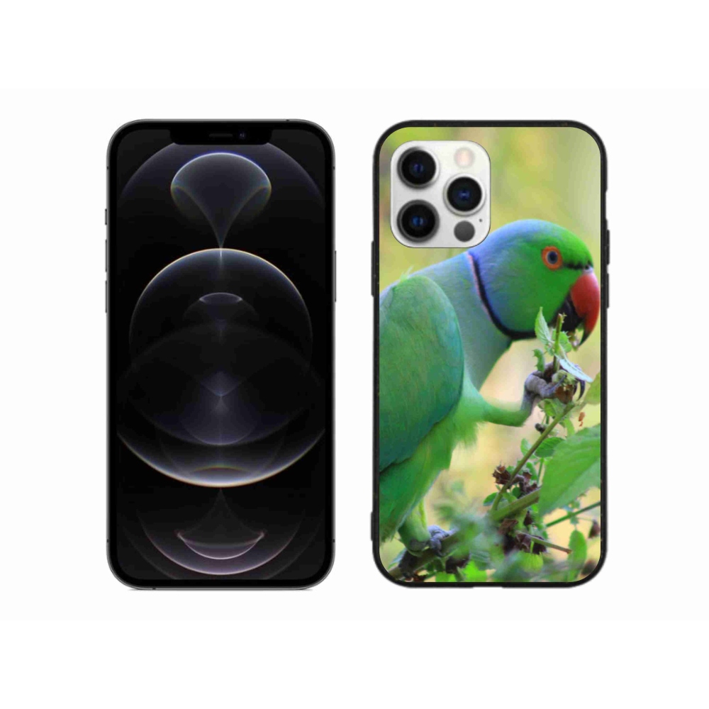 Zselés borítás mmCase iPhone 12 Pro Max készülékhez - papagáj alexandr