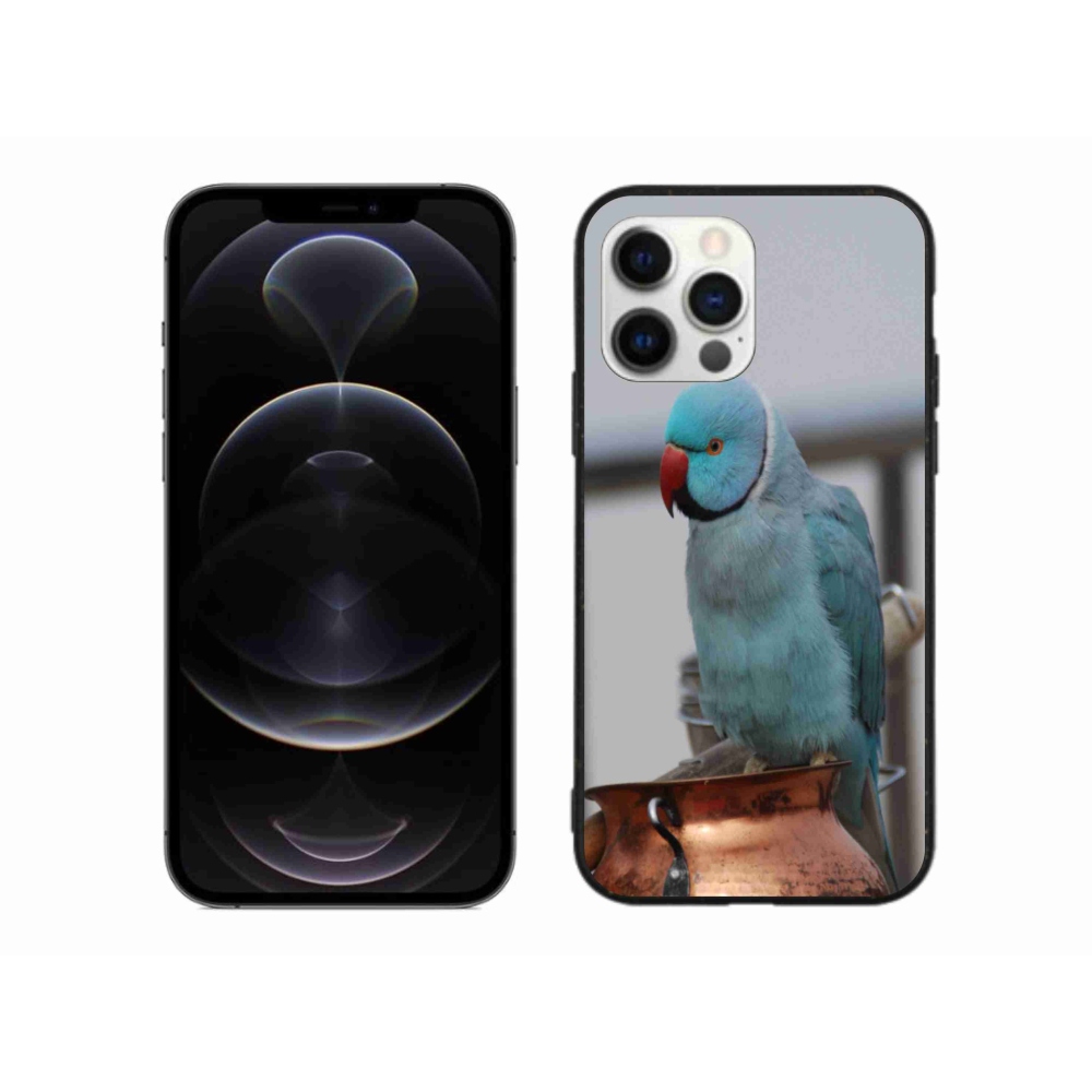 Zselés borítás mmCase iPhone 12 Pro Max készülékhez - papagáj alexander kék