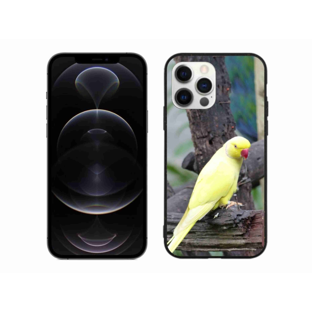 Zselés borítás mmCase iPhone 12 Pro Max készülékhez - papagáj alexander sárga
