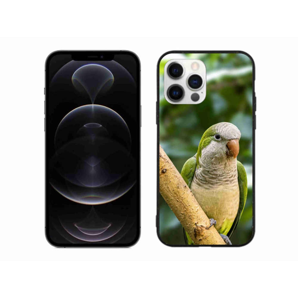 Zselés borítás mmCase iPhone 12 Pro Max készülékhez - papagáj