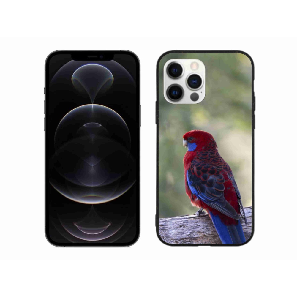 Zselés borítás mmCase iPhone 12 Pro Max készülékhez - papagáj rózsa