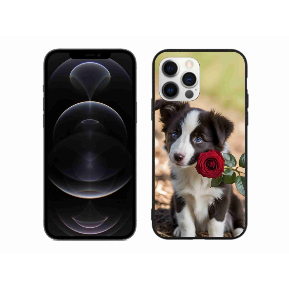 mmCase gél tok az iPhone 12 Pro Max-hoz – aranyos border collie rózsával