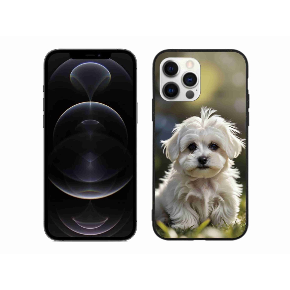 mmCase gél tok az iPhone 12 Pro Max-hoz – aranyos máltai kutyus
