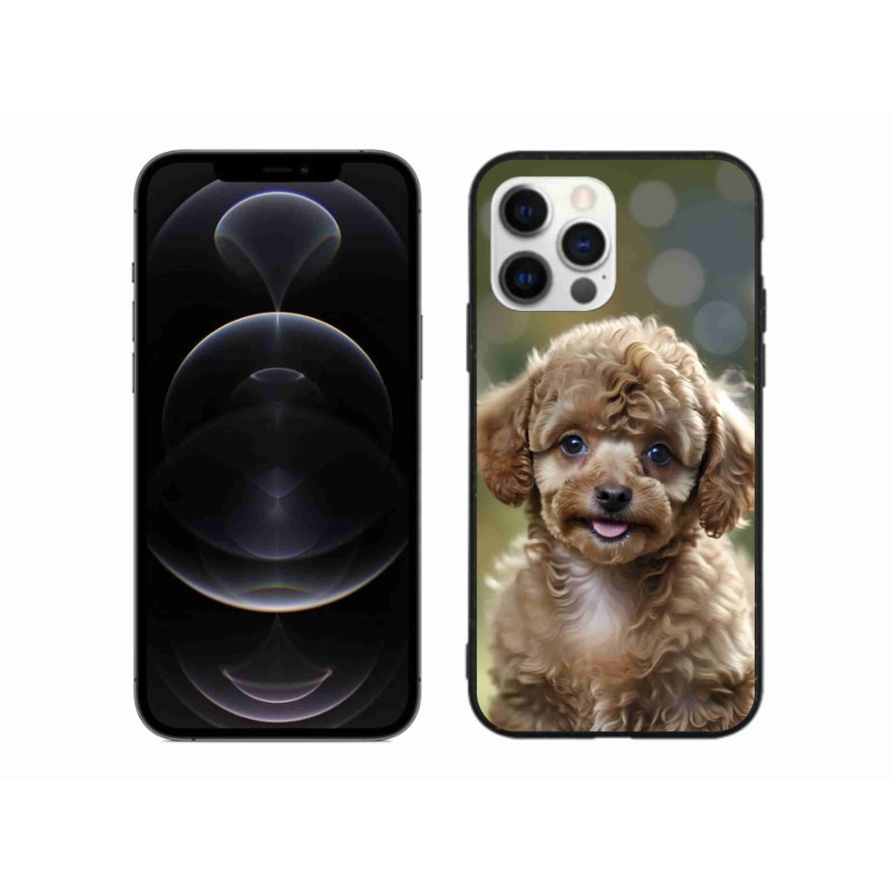 mmCase gél tok az iPhone 12 Pro Max-hoz – aranyos pudli