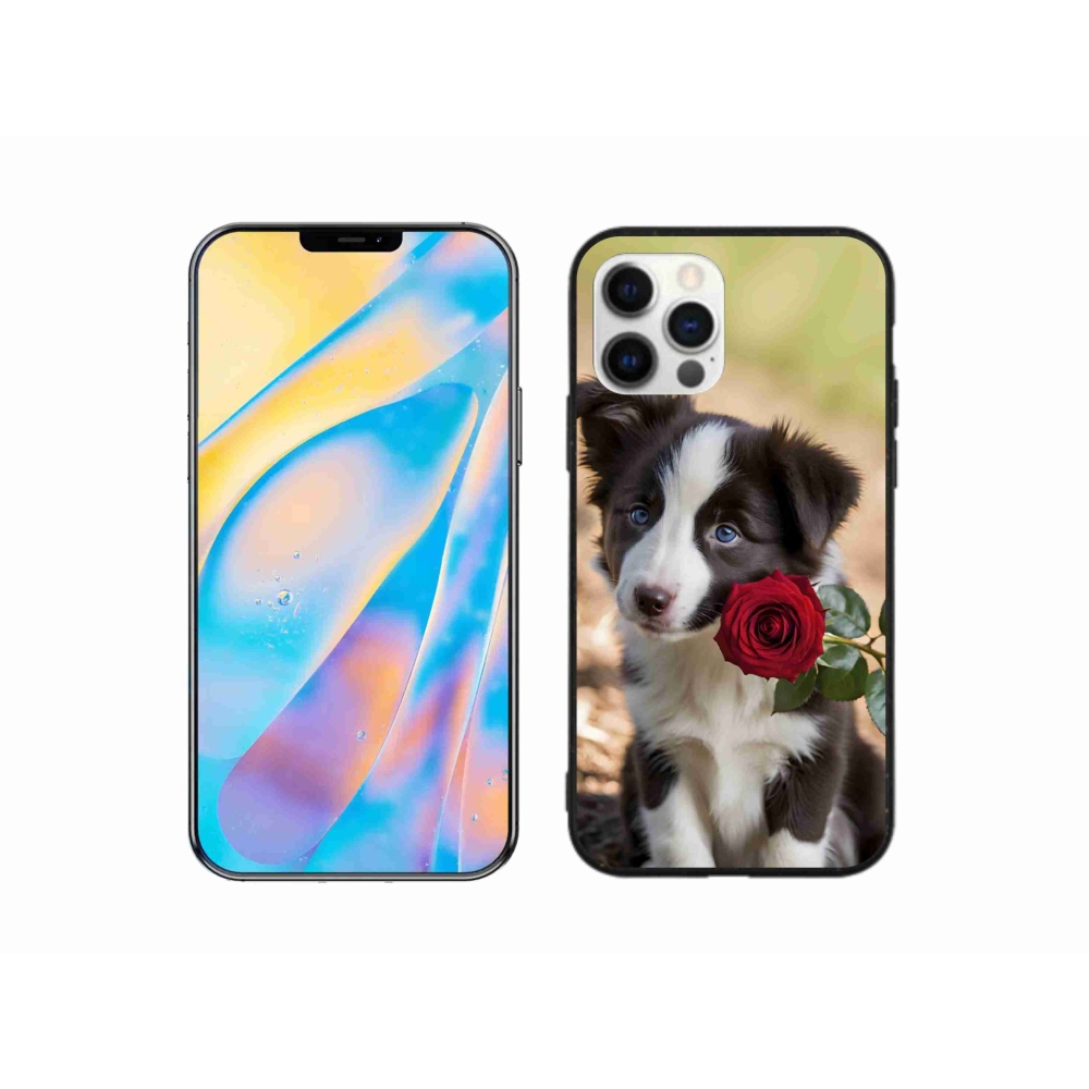 mmCase gél tok az iPhone 12-hez – aranyos border collie rózsával