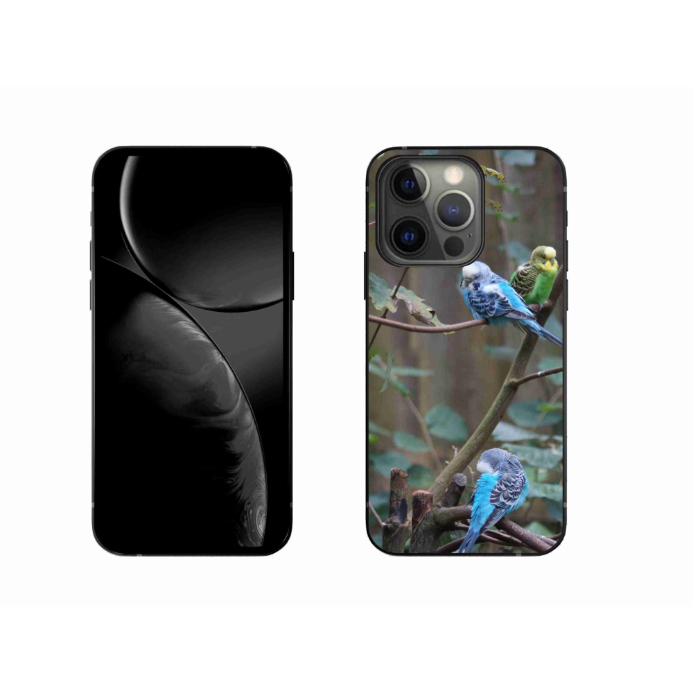 mmCase gél tok az iPhone 13 Pro-hoz – papagájok egy ágon
