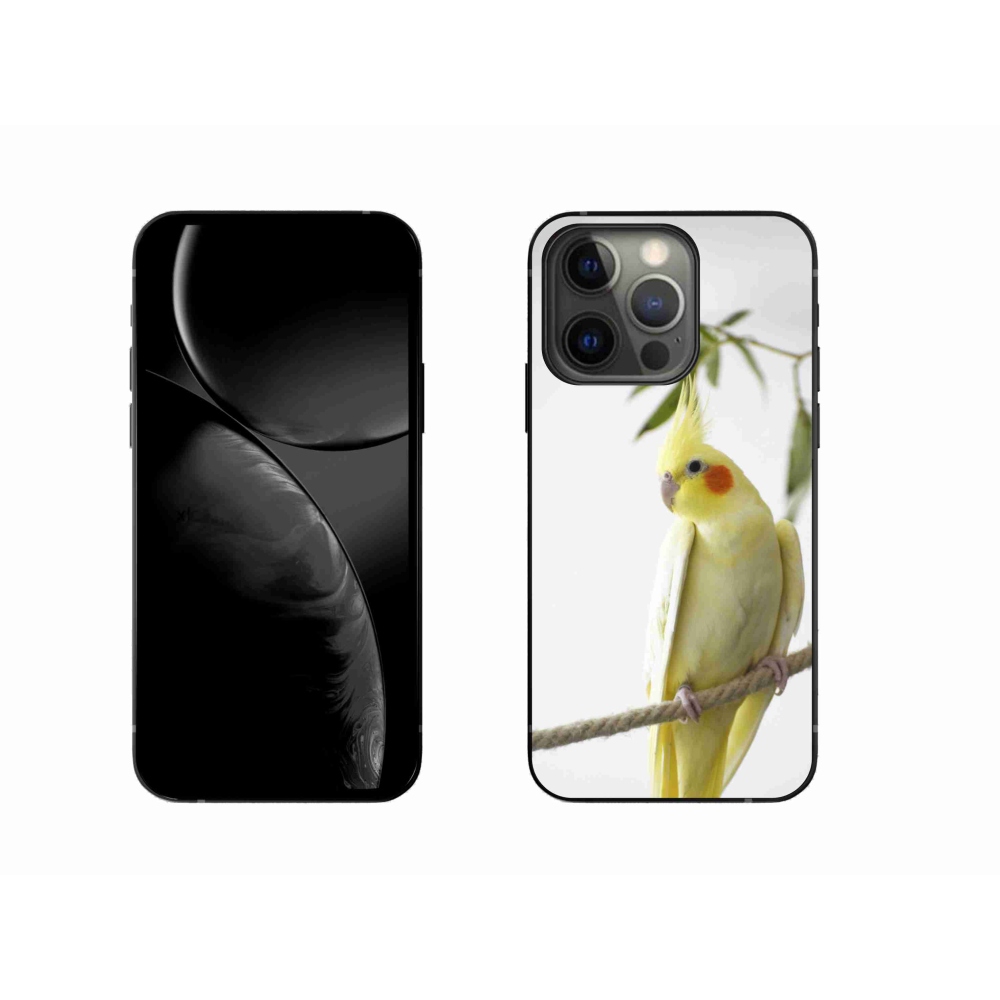 mmCase gél tok az iPhone 13 Pro-hoz – tollas papagáj