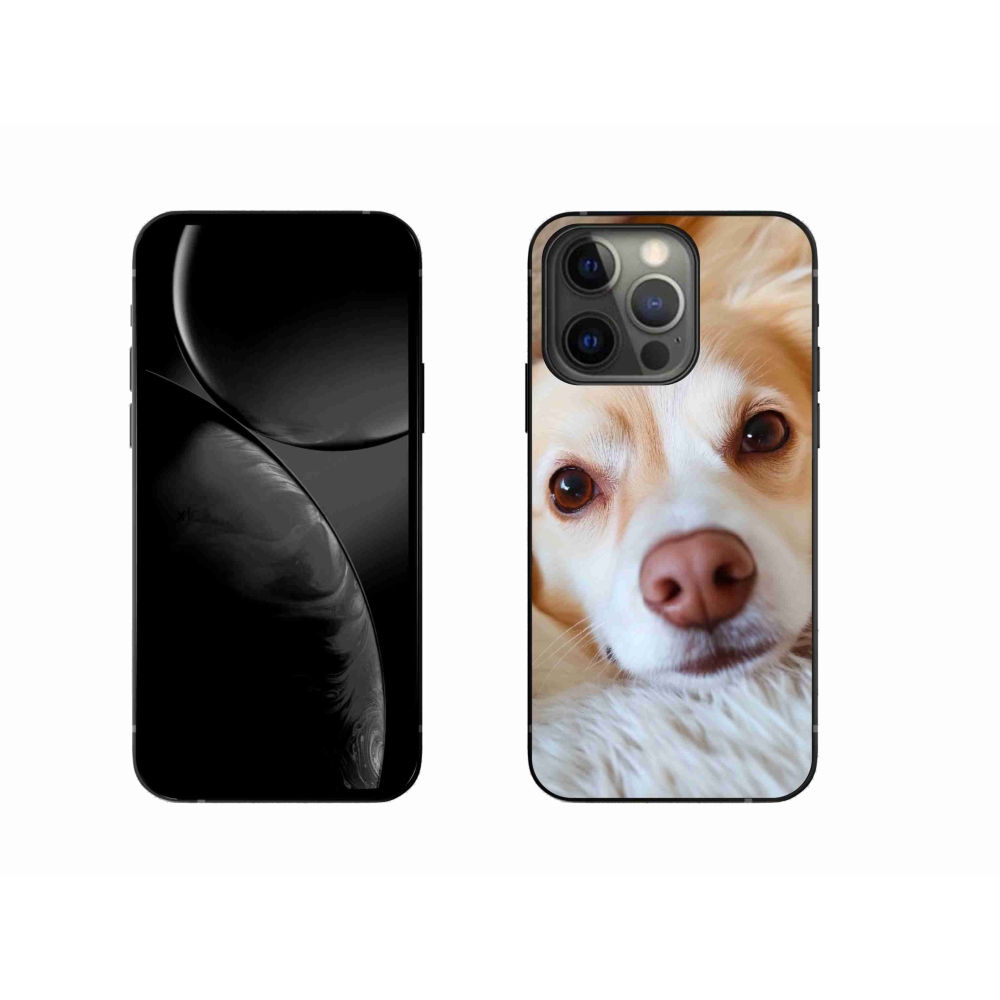 mmCase gél tok az iPhone 13 Pro-hoz – Aranyos csivava