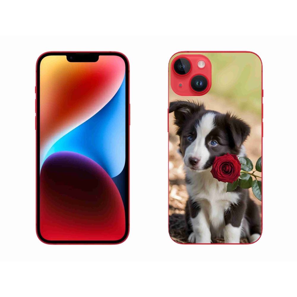 mmCase gél tok az iPhone 14 Plus-hoz – aranyos border collie rózsával