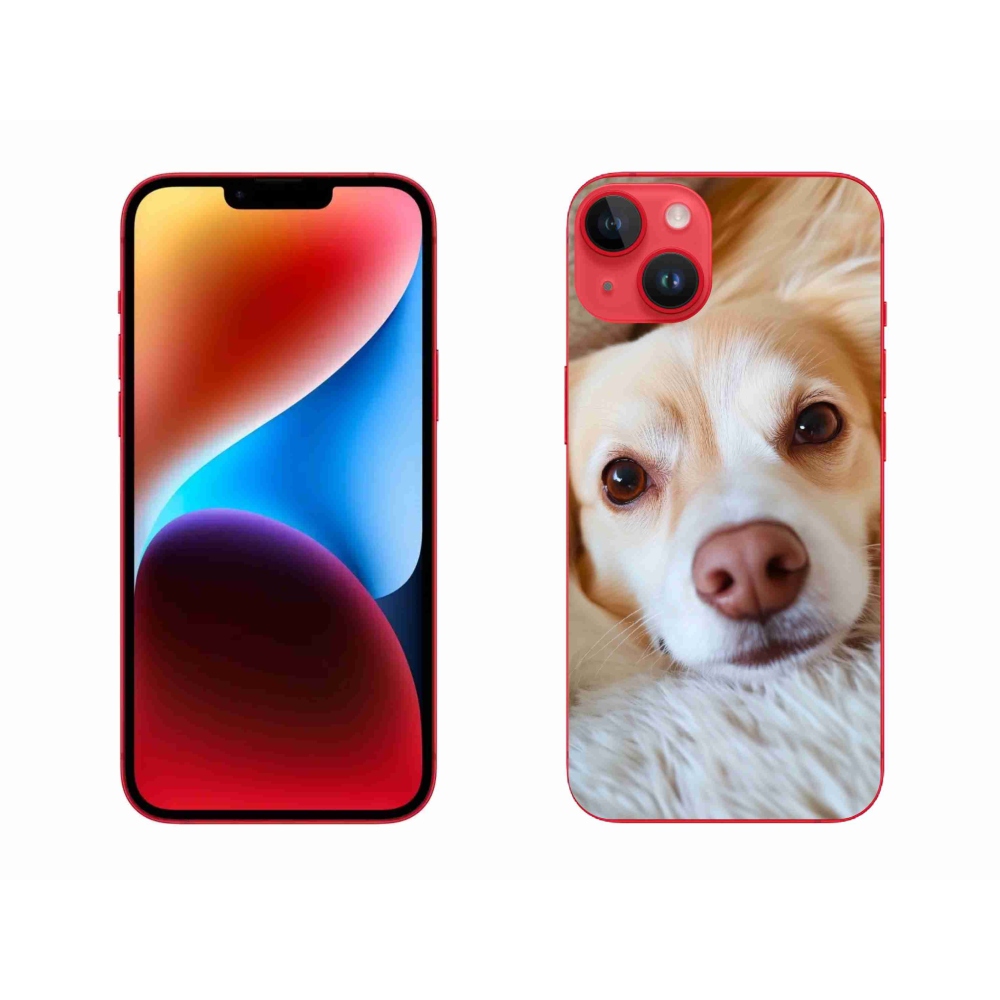 mmCase gél tok az iPhone 14 Plus-hoz – Aranyos csivava