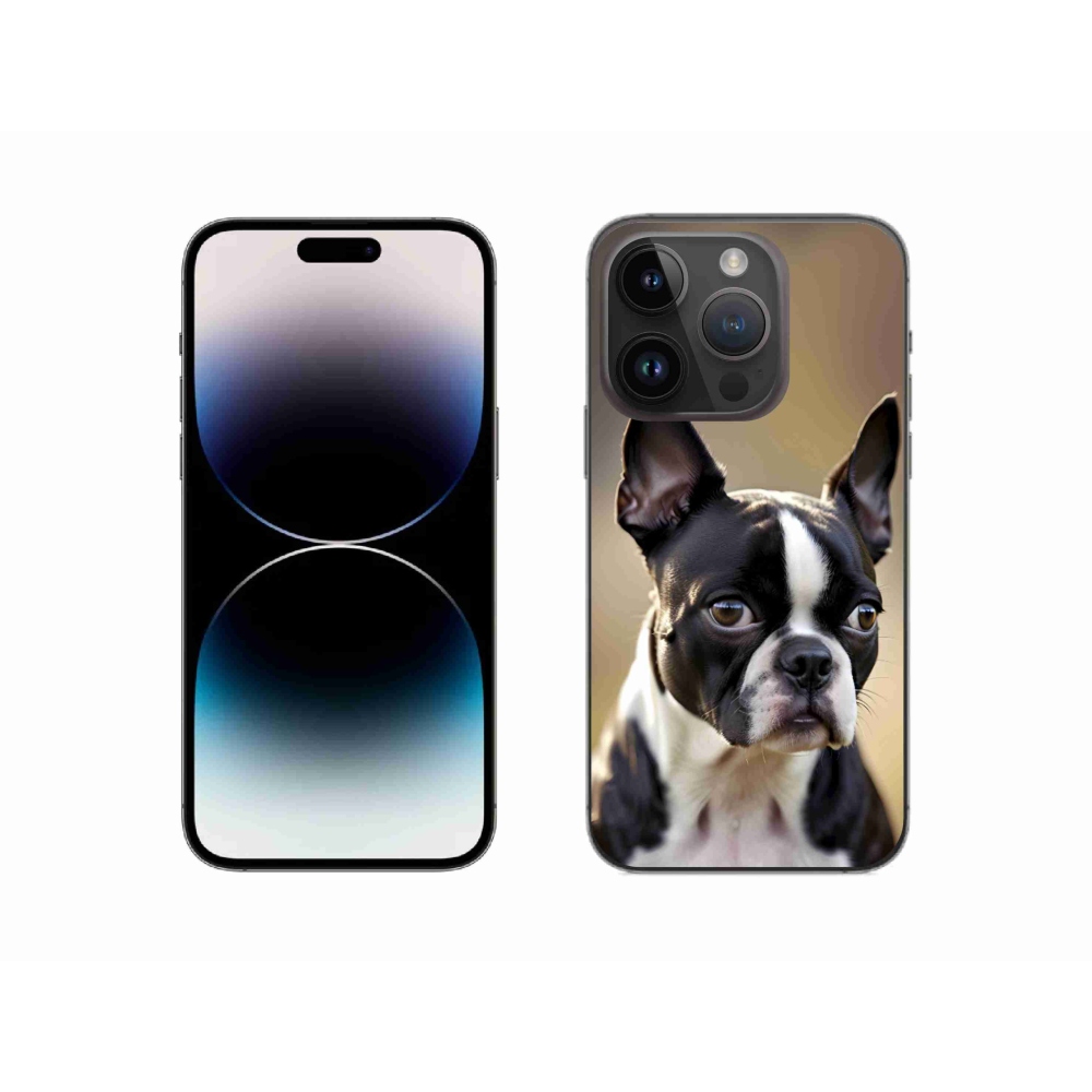 mmCase gél tok az iPhone 14 Pro-hoz – bostoni terrier
