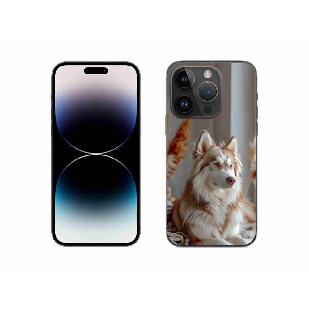 mmCase gél tok az iPhone 14 Pro-hoz – nyugodt szibériai husky