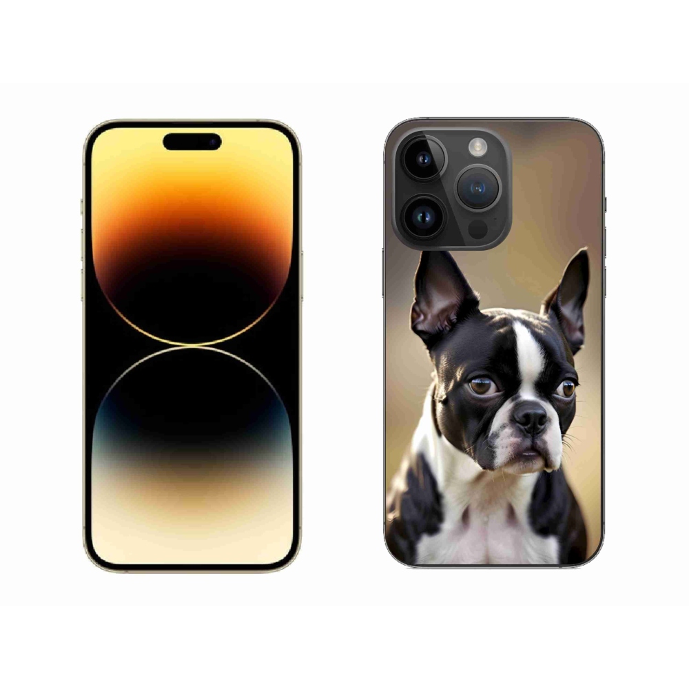 mmCase gél tok az iPhone 14 Pro Max-hoz – bostoni terrier