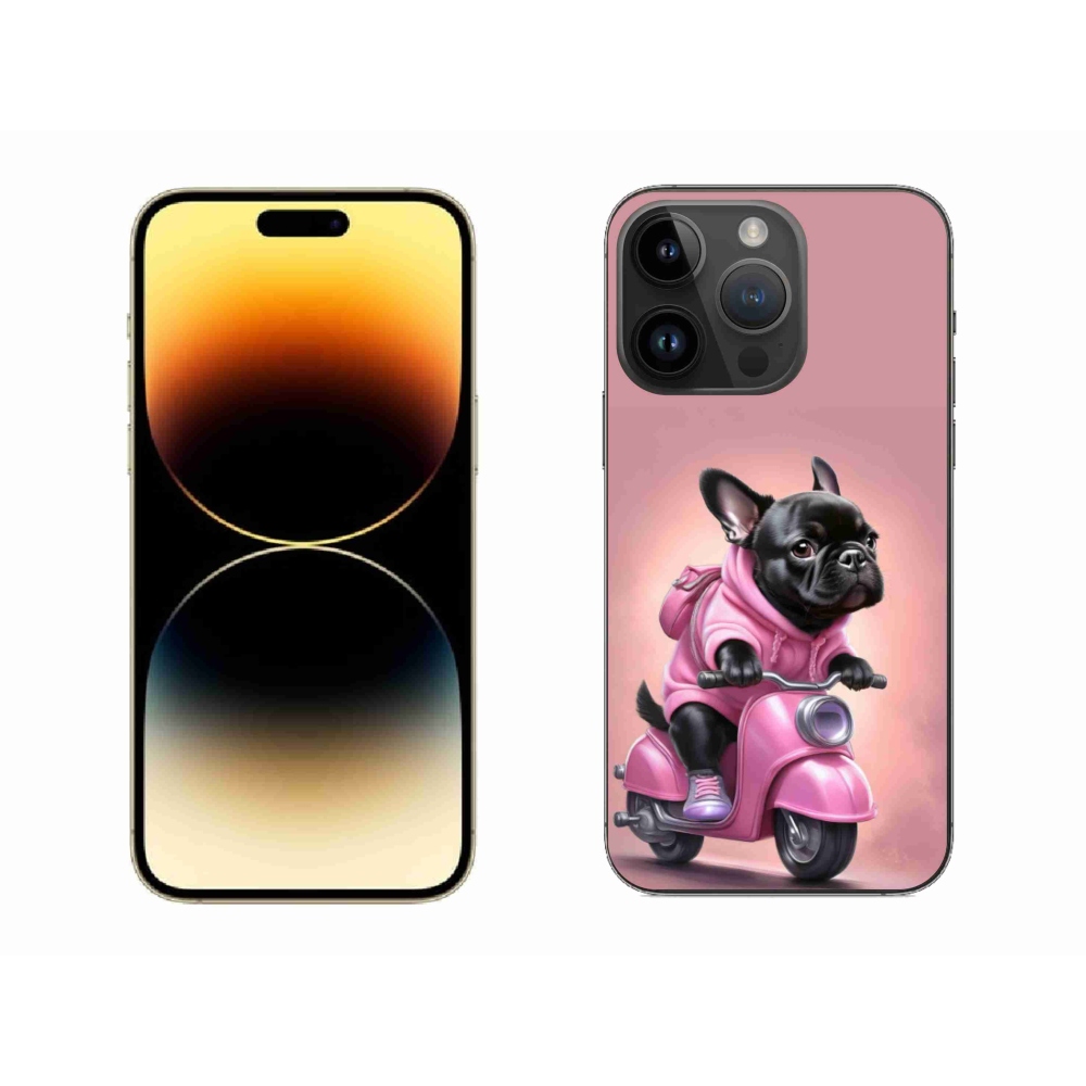 Zselés borítás mmCase iPhone 14 Pro Max készülékhez - Francia bulldog egy robogón