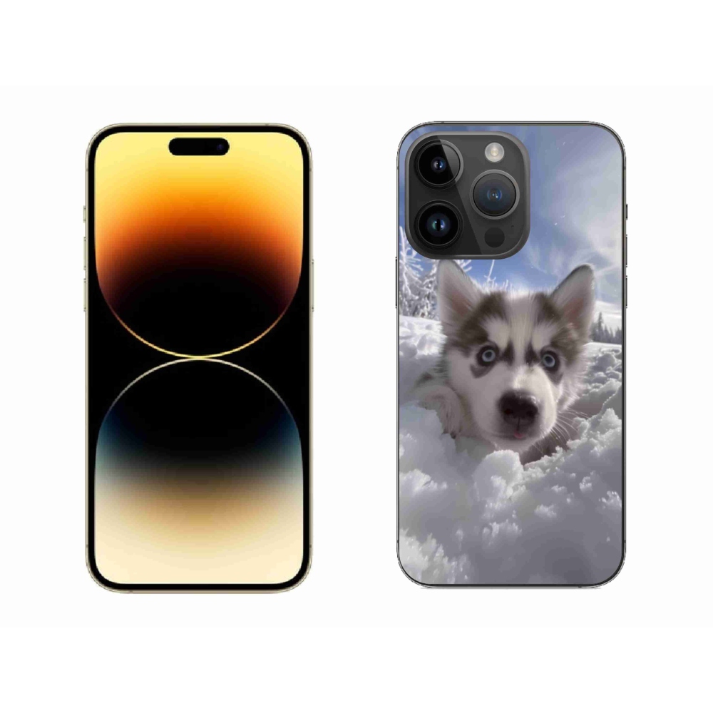 Zselés borítás mmCase iPhone 14 Pro Max készülékhez - husky a hóban