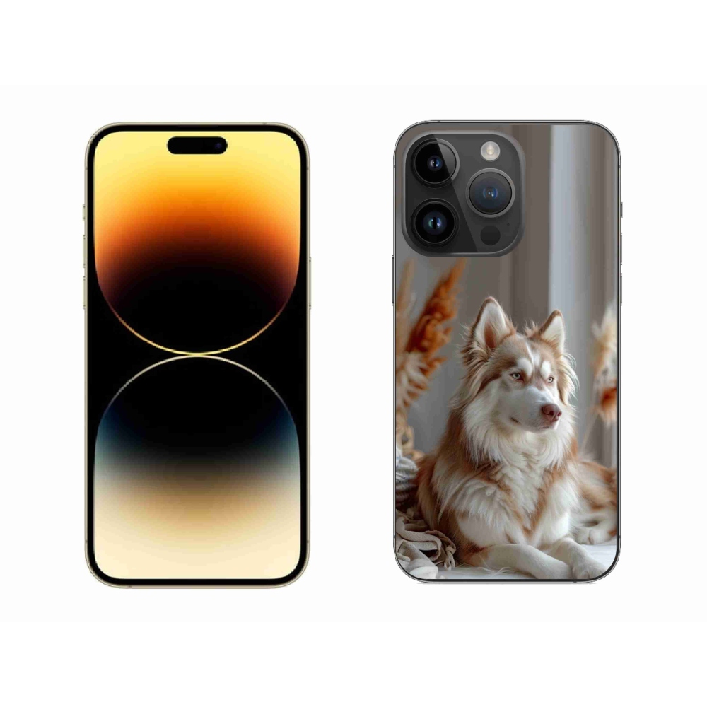 mmCase gél tok az iPhone 14 Pro Max-hoz – nyugodt szibériai husky