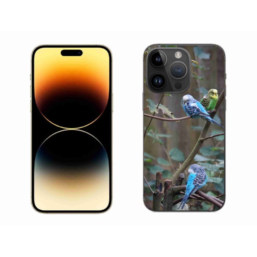 mmCase gél tok az iPhone 14 Pro Max-hoz – papagájok egy ágon
