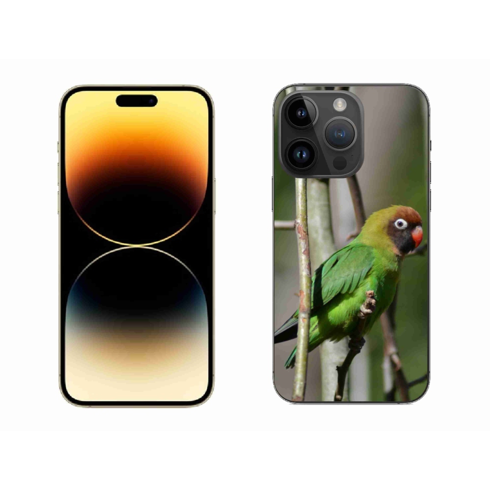 Gél borítás mmCase iPhone 14 Pro Max készülékhez - papagáj agapornis