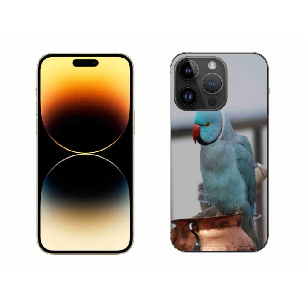 Zselés borítás mmCase iPhone 14 Pro Max készülékhez - papagáj alexander kék