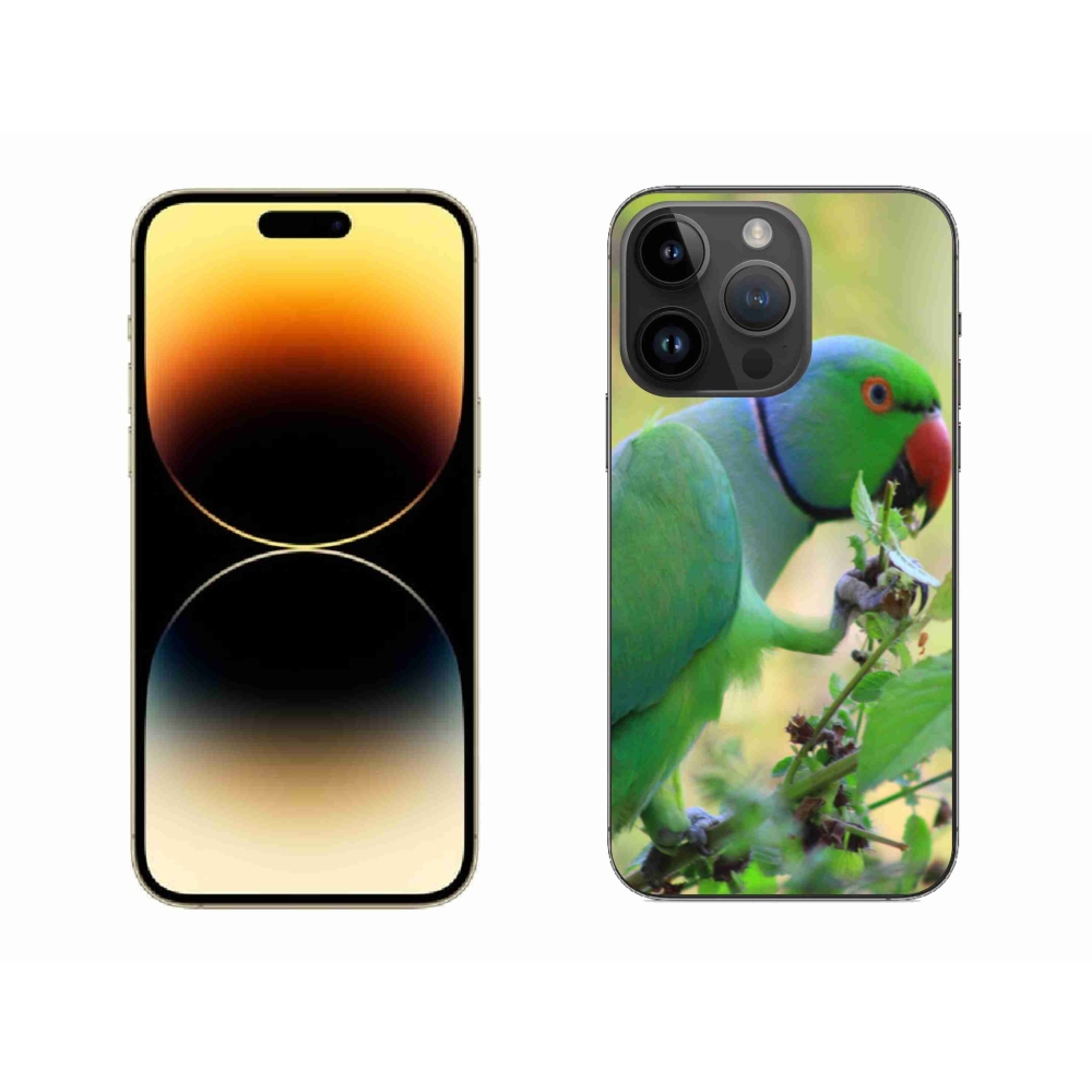 Zselés borítás mmCase iPhone 14 Pro Max készülékhez - papagáj alexandr