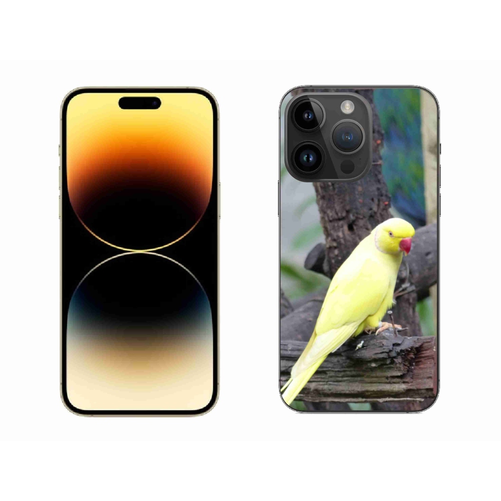 Zselés borítás mmCase iPhone 14 Pro Max készülékhez - papagáj alexander sárga
