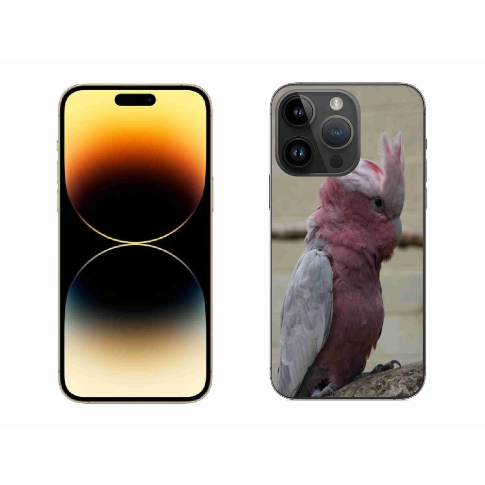 Zselés borítás mmCase iPhone 14 Pro Max készülékhez - papagáj kakadu rózsaszínű