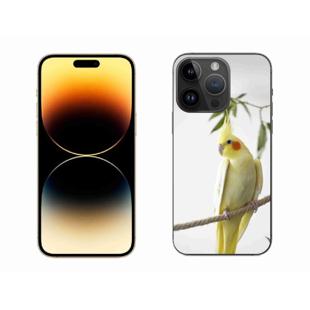 mmCase gél tok az iPhone 14 Pro Max-hoz – tollas papagáj