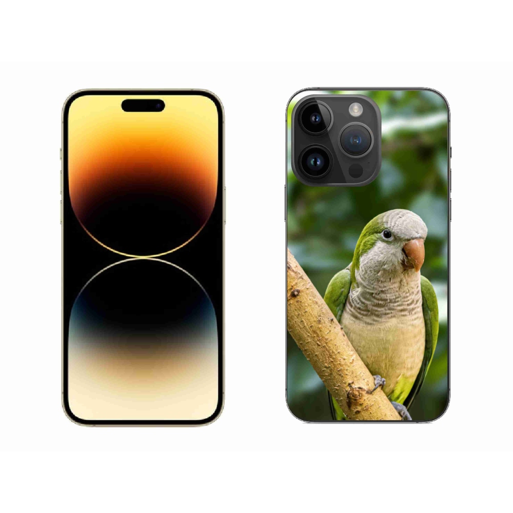 Zselés borítás mmCase iPhone 14 Pro Max készülékhez - papagáj