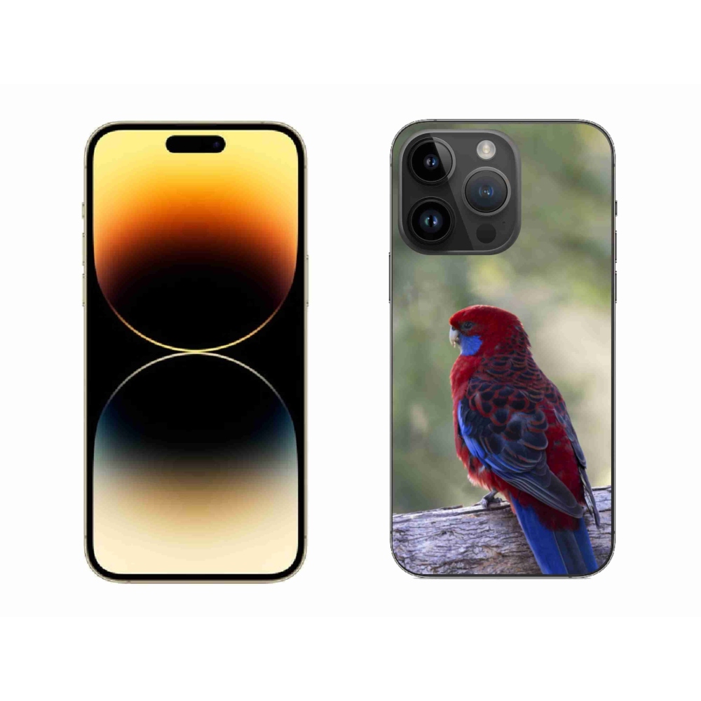 Zselés borítás mmCase iPhone 14 Pro Max készülékhez - papagáj rózsa