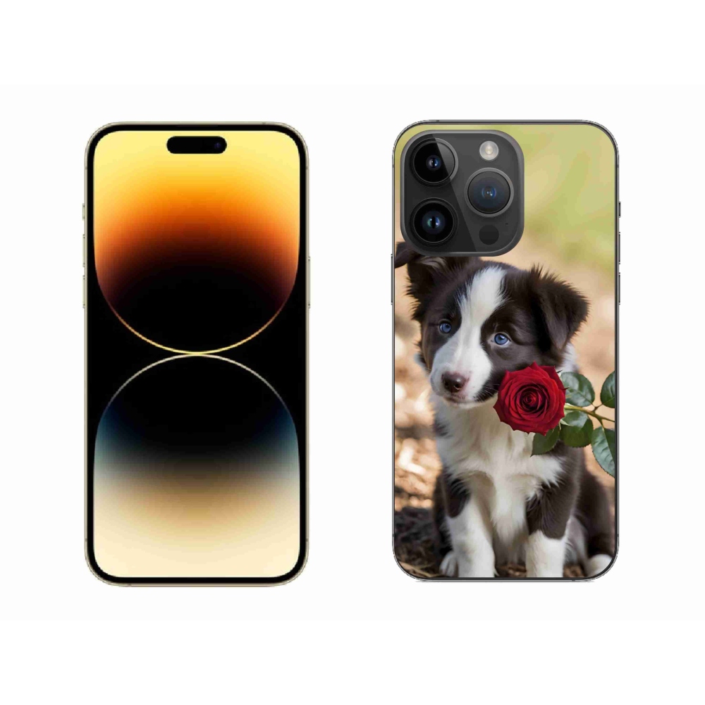 mmCase gél tok az iPhone 14 Pro Max-hoz – aranyos border collie rózsával