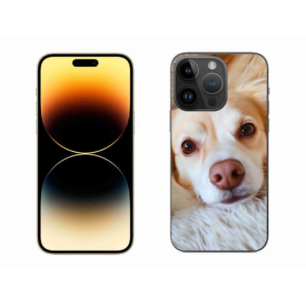 mmCase gél tok az iPhone 14 Pro Max-hoz – Aranyos csivava
