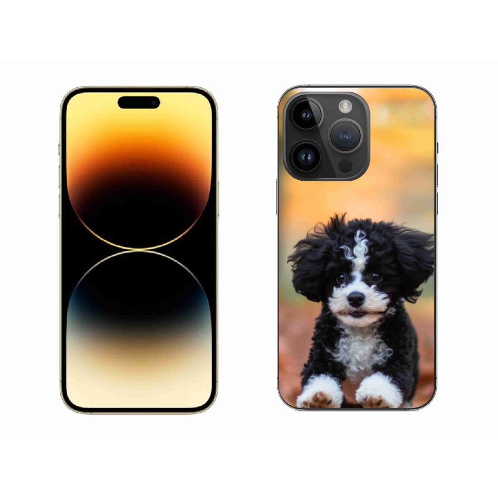 Gél borítás mmCase iPhone 14 Pro Max készülékhez - aranyos kiskutya 2