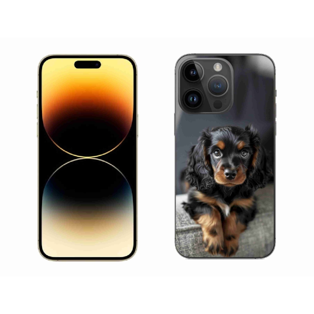 mmCase gél tok az iPhone 14 Pro Max-hoz – aranyos, hosszúszőrű tacskó