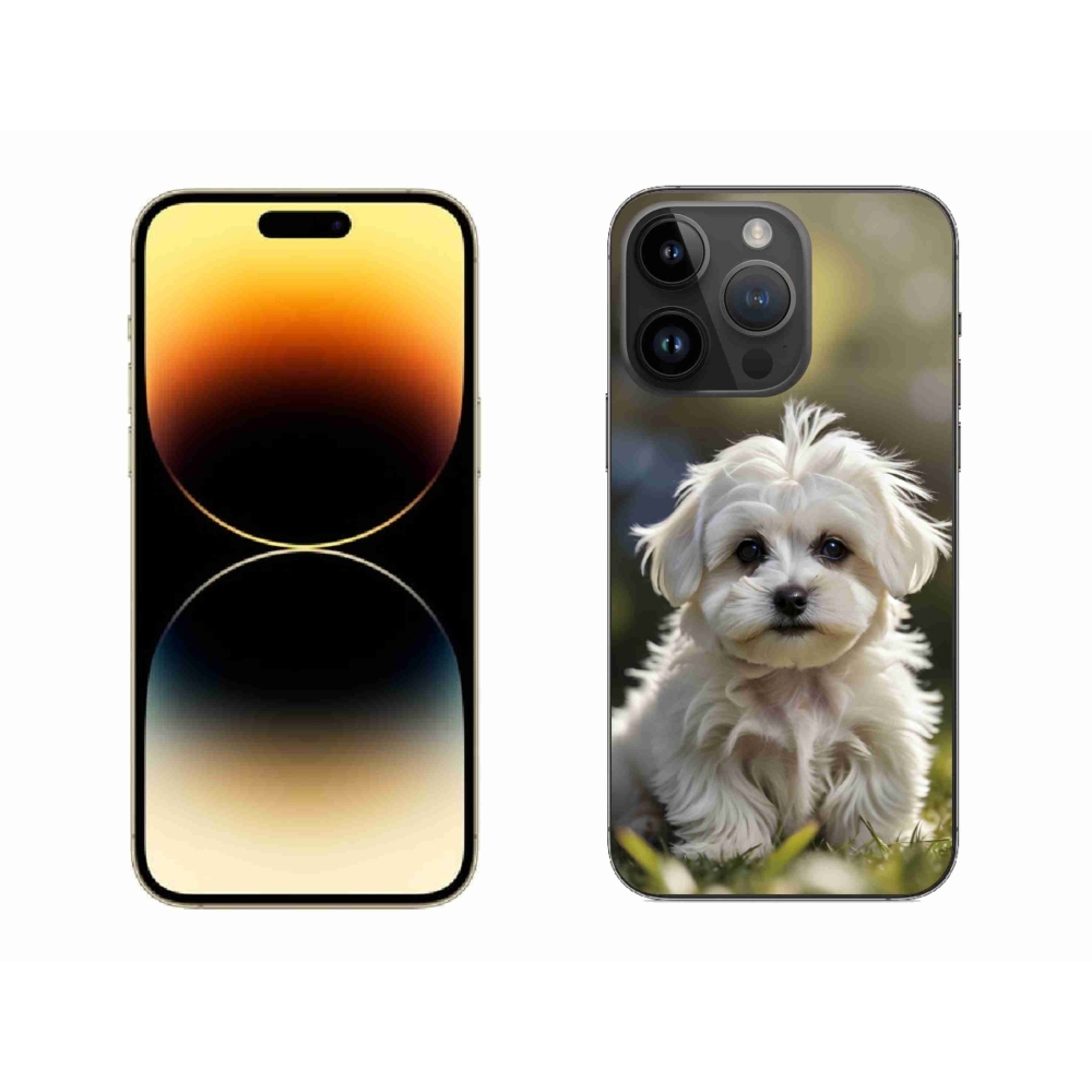 mmCase gél tok az iPhone 14 Pro Max-hoz – aranyos máltai kutyus