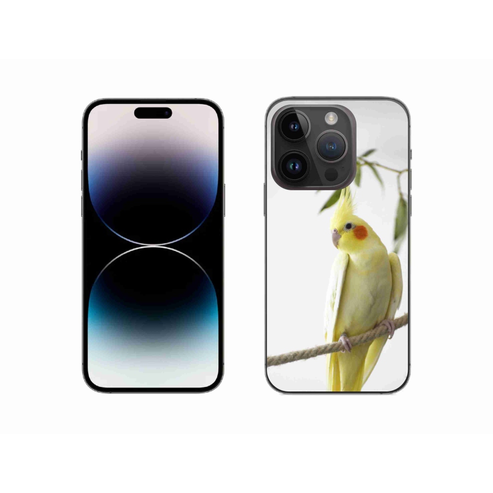 mmCase gél tok az iPhone 14 Pro-hoz – tollas papagáj
