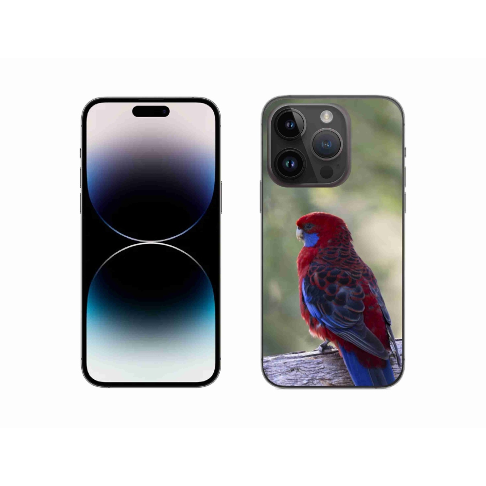 Zselés borítás mmCase iPhone 14 Pro készülékhez - papagáj rózsa