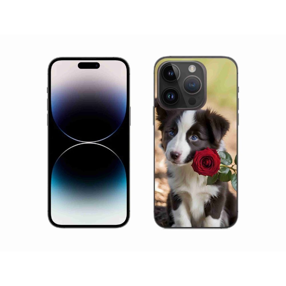 mmCase gél tok az iPhone 14 Pro-hoz – aranyos border collie rózsával
